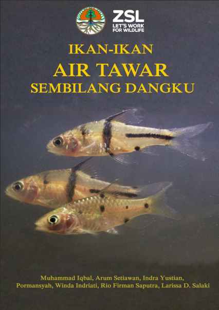 Ikan-Ikan Air Tawar Sembilang Dangku